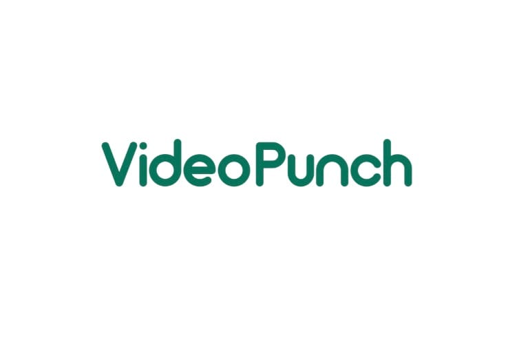 VideoPunch wordmark in green on a white background